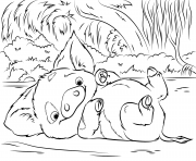 Printable pua pet pig from moana disney  coloring pages